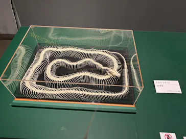 特別展「超危険生物展　科学で挑む生き物の本気」に投稿された画像（2026/9/14）