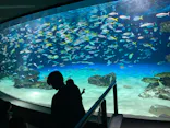 サンシャイン水族館に投稿された画像（2026/9/14）