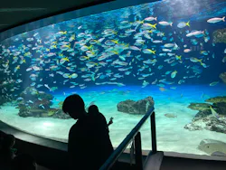 サンシャイン水族館に投稿された画像（2026/9/14）