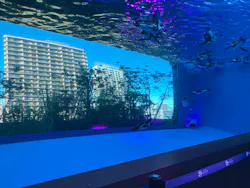 サンシャイン水族館に投稿された画像（2026/9/14）