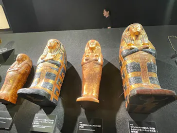 MYSTERY OF TUTANKHAMEN 体感型古代エジプト展に投稿された画像（2026/9/14）