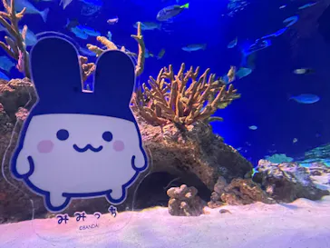 新江ノ島水族館に投稿された画像（2026/9/14）