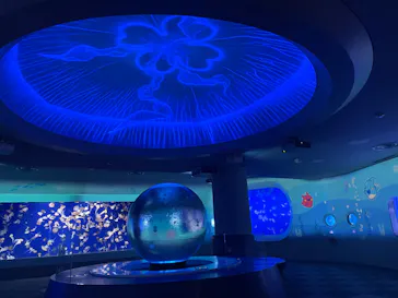 新江ノ島水族館に投稿された画像（2026/9/14）