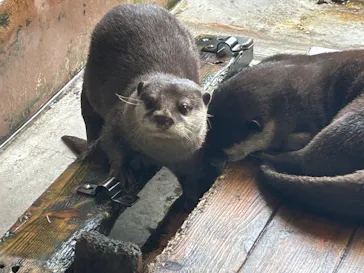 箱根園水族館に投稿された画像（2026/9/14）