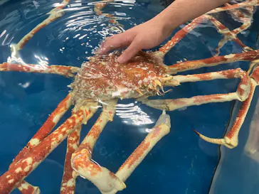 竹島水族館に投稿された画像（2026/9/14）