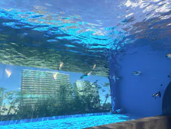 サンシャイン水族館に投稿された画像（2026/9/14）