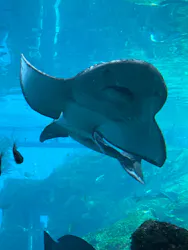 九十九島水族館海きららに投稿された画像（2026/9/14）