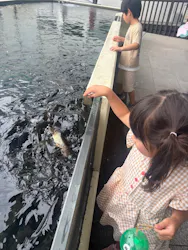 世界淡水魚園水族館　アクア・トトぎふに投稿された画像（2026/9/14）