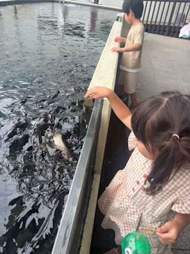 世界淡水魚園水族館　アクア・トトぎふに投稿された画像（2026/9/14）