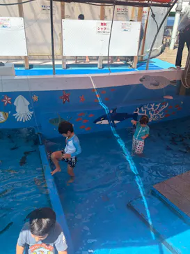 越前松島水族館に投稿された画像（2026/9/14）
