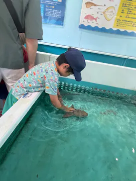 越前松島水族館に投稿された画像（2026/9/14）