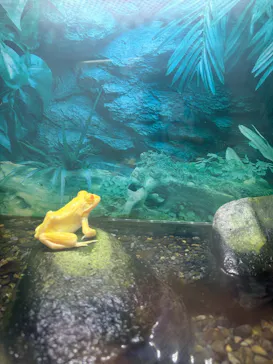 越前松島水族館に投稿された画像（2026/9/14）