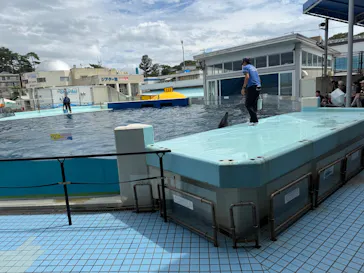 越前松島水族館に投稿された画像（2026/9/14）