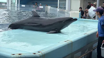 越前松島水族館に投稿された画像（2026/9/14）
