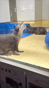 越前松島水族館に投稿された画像（2026/9/14）