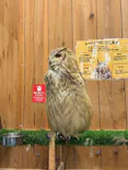 伊豆シャボテン動物公園に投稿された画像（2026/9/14）