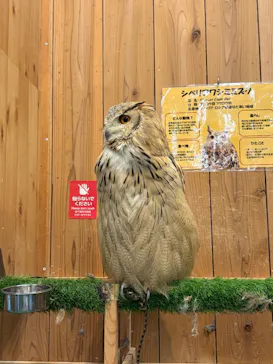 伊豆シャボテン動物公園に投稿された画像（2026/9/14）