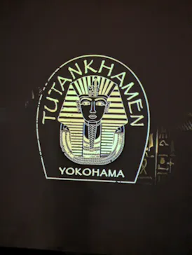 MYSTERY OF TUTANKHAMEN 体感型古代エジプト展に投稿された画像（2026/9/14）