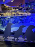 すみだ水族館に投稿された画像（2026/9/14）