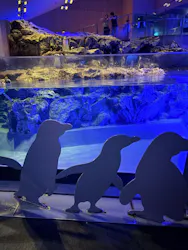 すみだ水族館に投稿された画像（2026/9/14）