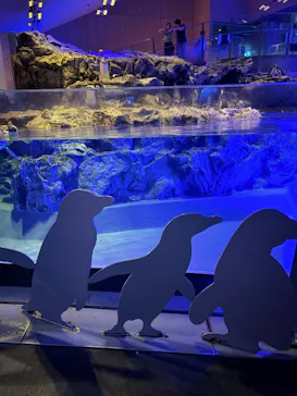 すみだ水族館に投稿された画像（2026/9/14）