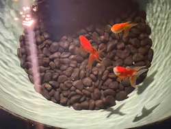 すみだ水族館に投稿された画像（2026/9/14）
