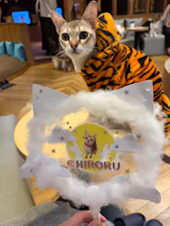 猫カフェモカ 名古屋栄店に投稿された画像（2026/9/14）