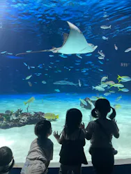 サンシャイン水族館に投稿された画像（2026/9/14）