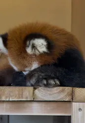 東武動物公園に投稿された画像（2026/9/14）