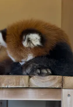 東武動物公園に投稿された画像（2026/9/14）