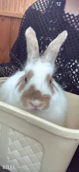 東武動物公園に投稿された画像（2026/9/14）