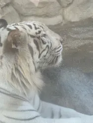 東武動物公園に投稿された画像（2026/9/14）