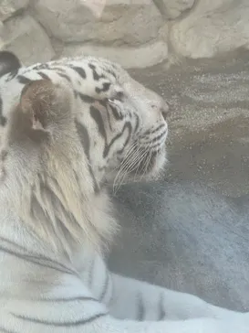 東武動物公園に投稿された画像（2026/9/14）