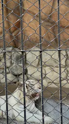 東武動物公園に投稿された画像（2026/9/14）