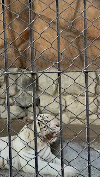 東武動物公園に投稿された画像（2026/9/14）