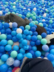 ピュアハートキッズランドポンテポルタ千住に投稿された画像（2026/9/14）