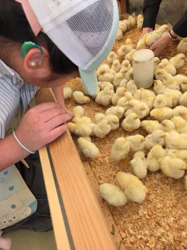 しろとり動物園に投稿された画像（2026/9/14）