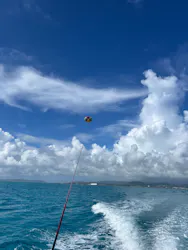 parasailing AIRに投稿された画像（2026/9/15）