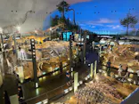 福井県立恐竜博物館に投稿された画像（2026/9/15）