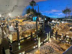 福井県立恐竜博物館に投稿された画像（2026/9/15）