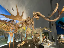 福井県立恐竜博物館に投稿された画像（2026/9/15）