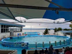 のとじま水族館に投稿された画像（2026/9/15）