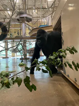 名古屋市東山動植物園に投稿された画像（2026/9/15）