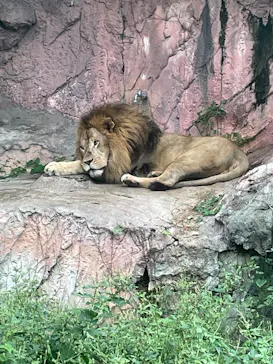 名古屋市東山動植物園に投稿された画像（2026/9/15）