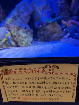 竹島水族館に投稿された画像（2026/9/15）