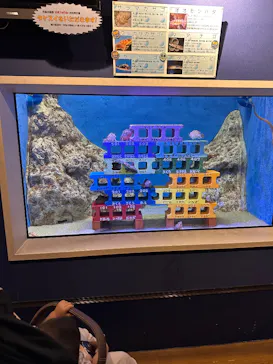 竹島水族館に投稿された画像（2026/9/15）