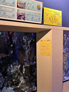 竹島水族館に投稿された画像（2026/9/15）