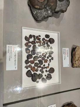特別展　大絶滅展に投稿された画像（2026/9/15）