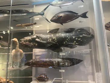 国立科学博物館に投稿された画像（2026/9/15）