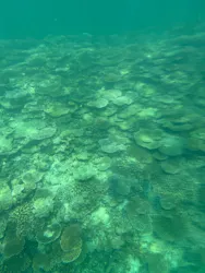 ブルーラグーン石垣島に投稿された画像（2026/9/15）